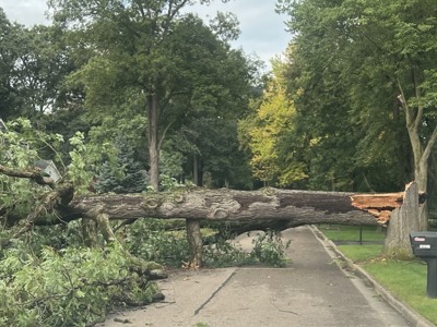 City of Farmington Hills Reminds Community Members of Debris Removal Guidelines Following Late August Storm