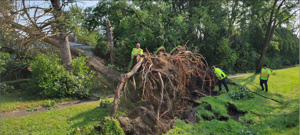 City of Farmington Hills Reminds Community Members of Debris Removal Guidelines Following Late June Storm